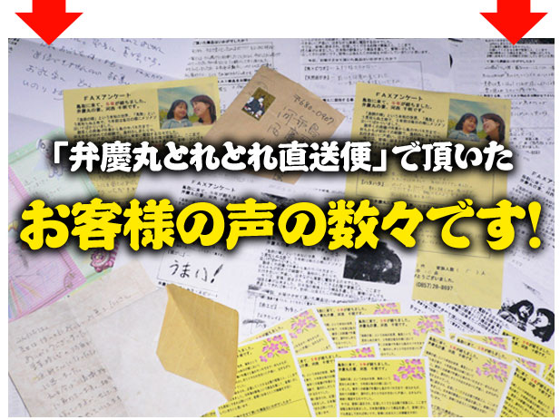 お客様の声の数々