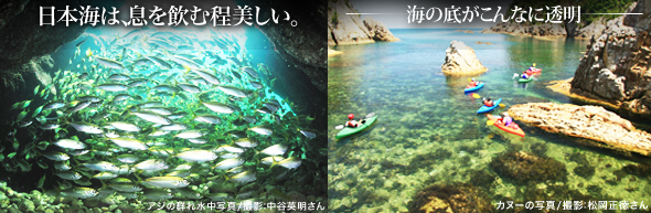 鳥取の海の美しさ