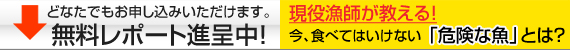 旨い魚