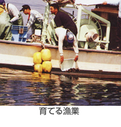 放流活動
