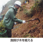 植林活動