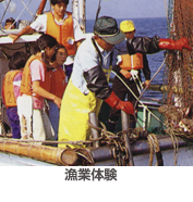 漁業体験