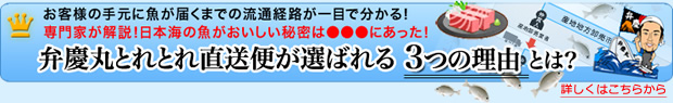 弁慶丸とれとれ直送便が選ばれる3つの理由とは？
