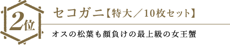 2位 セコガニ【特大/10枚セット】…オスの松葉も顔負けの最上級の女王蟹