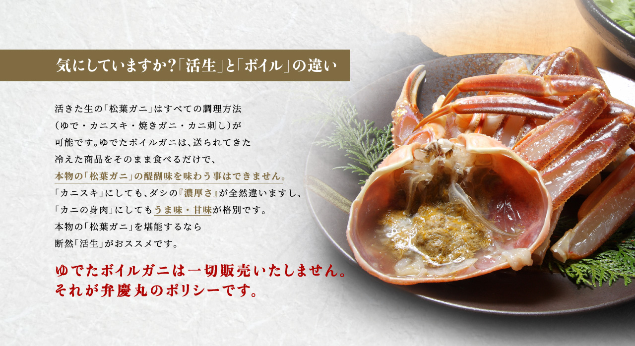 気にしていますか?「活生」と「ボイル」の違い