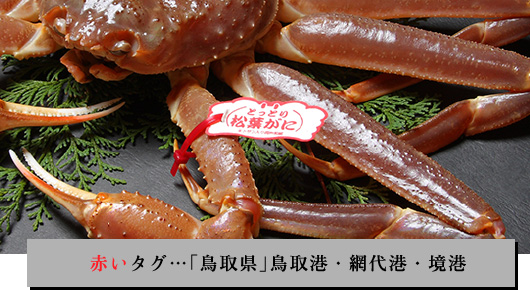 赤いタグ…「鳥取県」鳥取港・網代港・境港