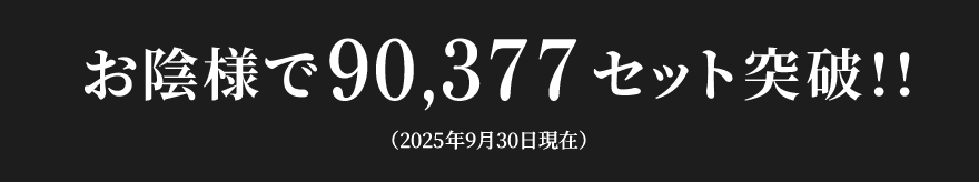 お陰様で90,377セット突破!!(2025年9月30日現在)