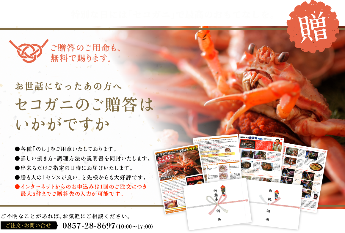 セコガニ 香箱ガニ の通販 お取り寄せ 鮮魚 通販 弁慶丸