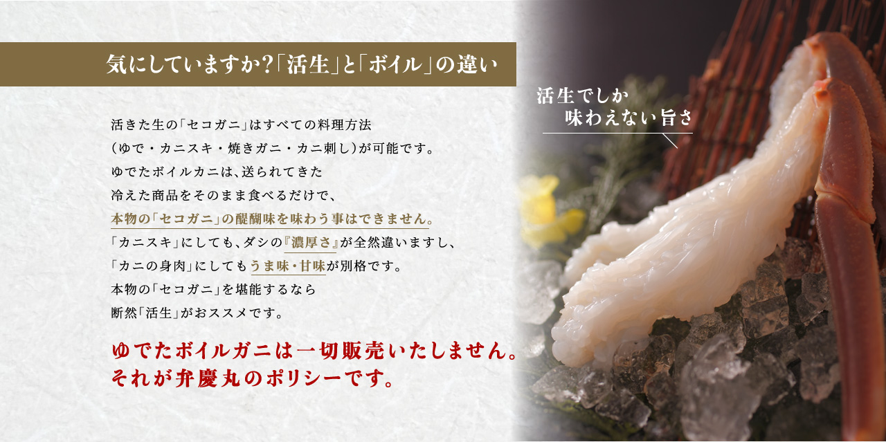 気にしていますか?「活生」と「ボイル」の違い