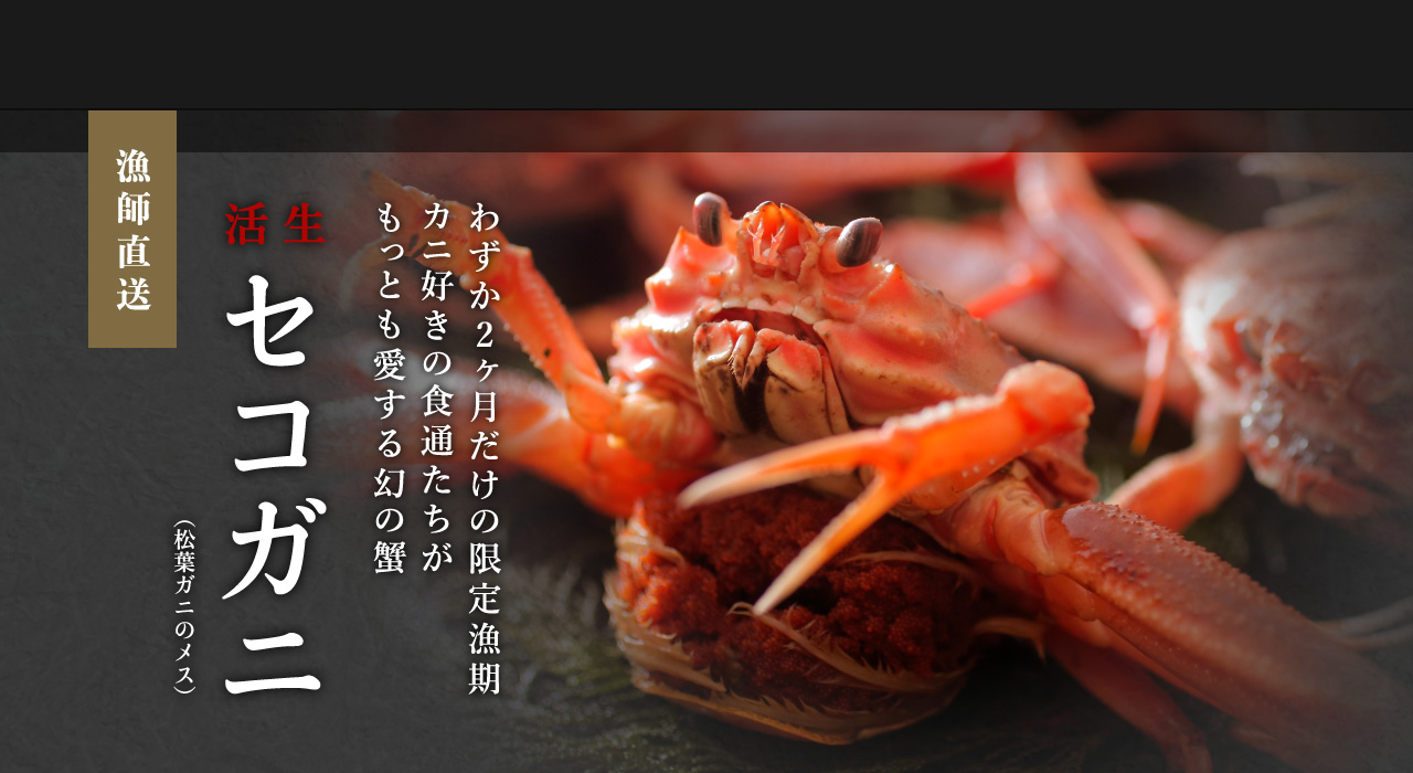 セコガニ 香箱ガニ の通販 お取り寄せ 弁慶丸 鮮魚 通販 セコガニ 香箱ガニ の通販 お取り寄せ 弁慶丸 鮮魚 通販