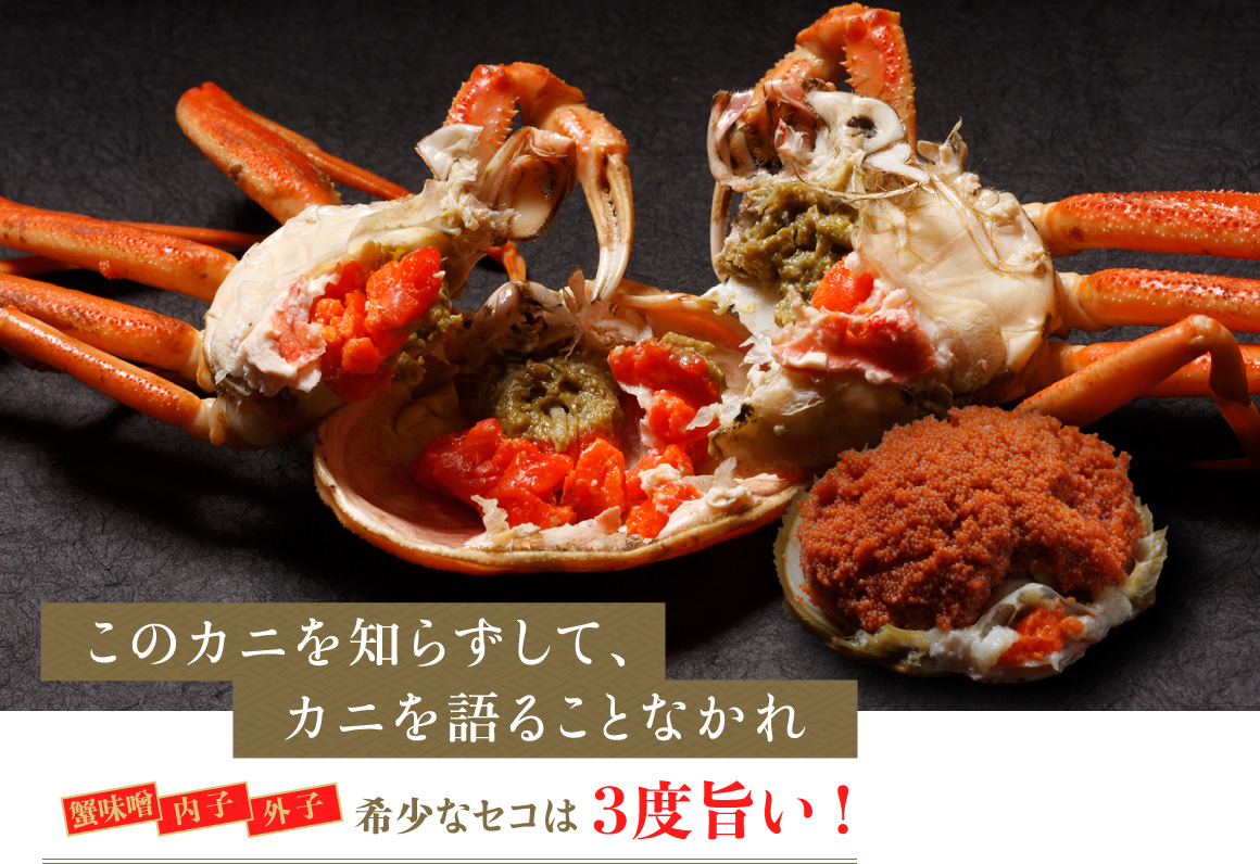 セコガニ 香箱ガニ の通販 お取り寄せ 弁慶丸 鮮魚 通販 セコガニ 香箱ガニ の通販 お取り寄せ 弁慶丸 鮮魚 通販