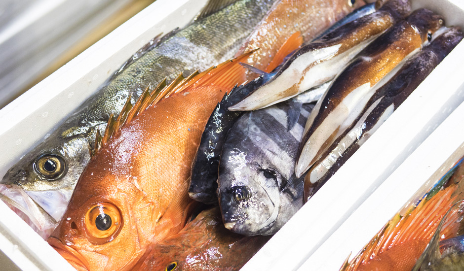 選ばれる5つの理由 弁慶丸 鮮魚 通販 選ばれる5つの理由 弁慶丸 鮮魚 通販