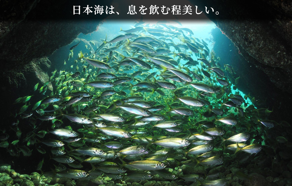 選ばれる5つの理由 弁慶丸 鮮魚 通販 選ばれる5つの理由 弁慶丸 鮮魚 通販