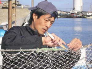 漁師のお仕事 弁慶丸 鮮魚 通販