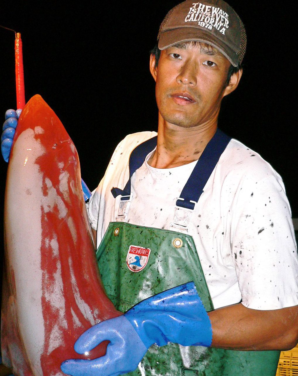 漁師のお仕事 弁慶丸 鮮魚 通販