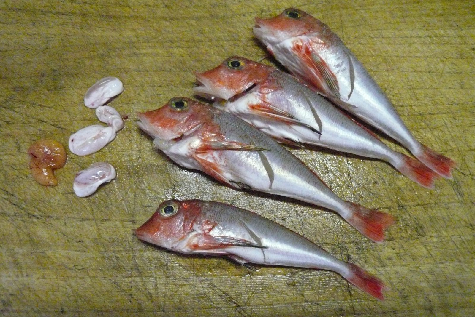 カナガシラ カナド 西潟正人の魚道場 弁慶丸 鮮魚 通販