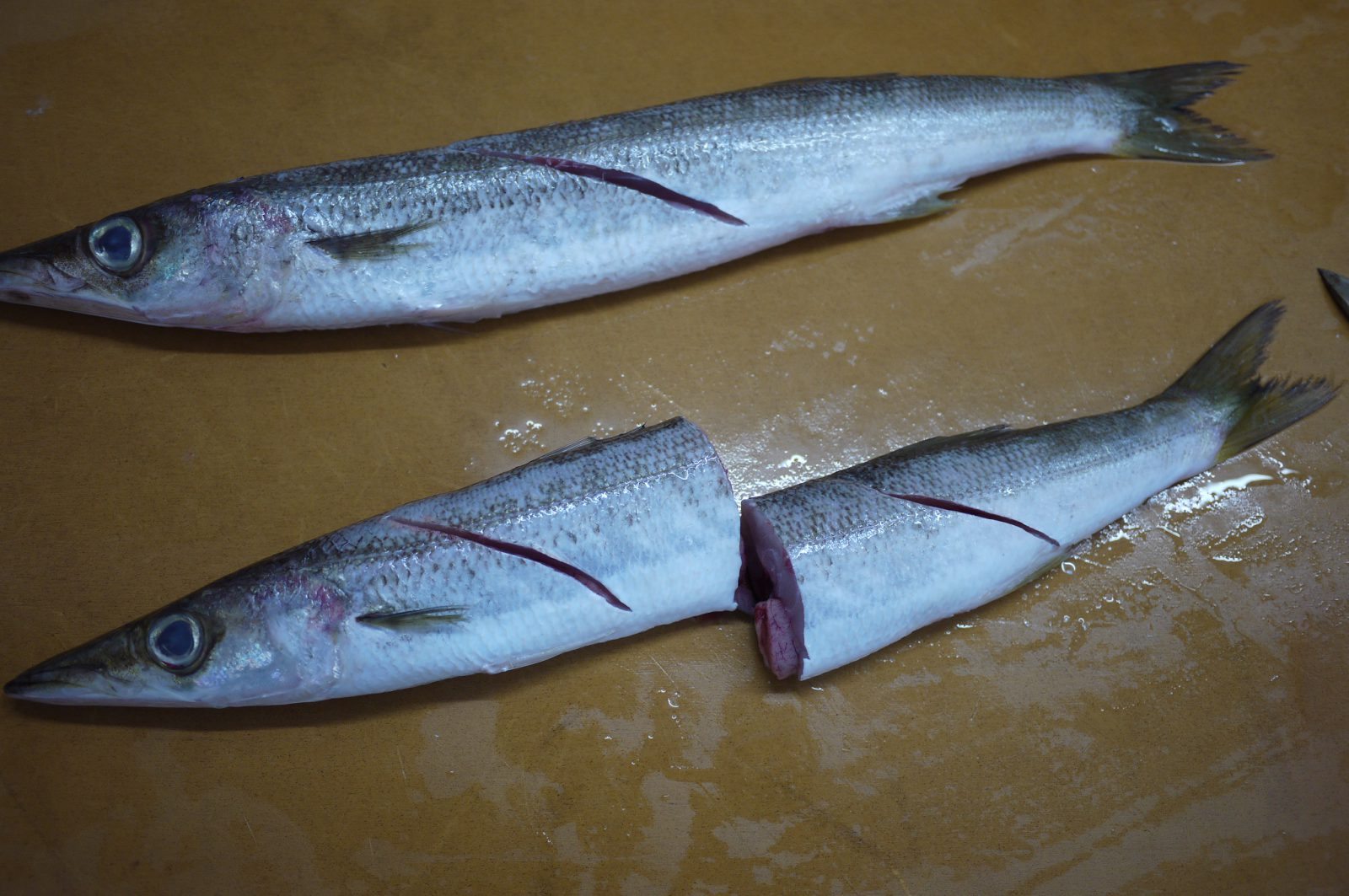 カマス 西潟正人の魚道場 弁慶丸 鮮魚 通販